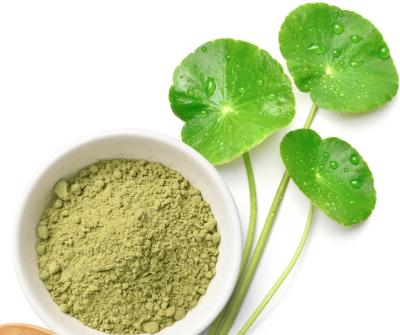 Buy Gotu Kola Powder Online - Benefits, Uses and Herbal Quality